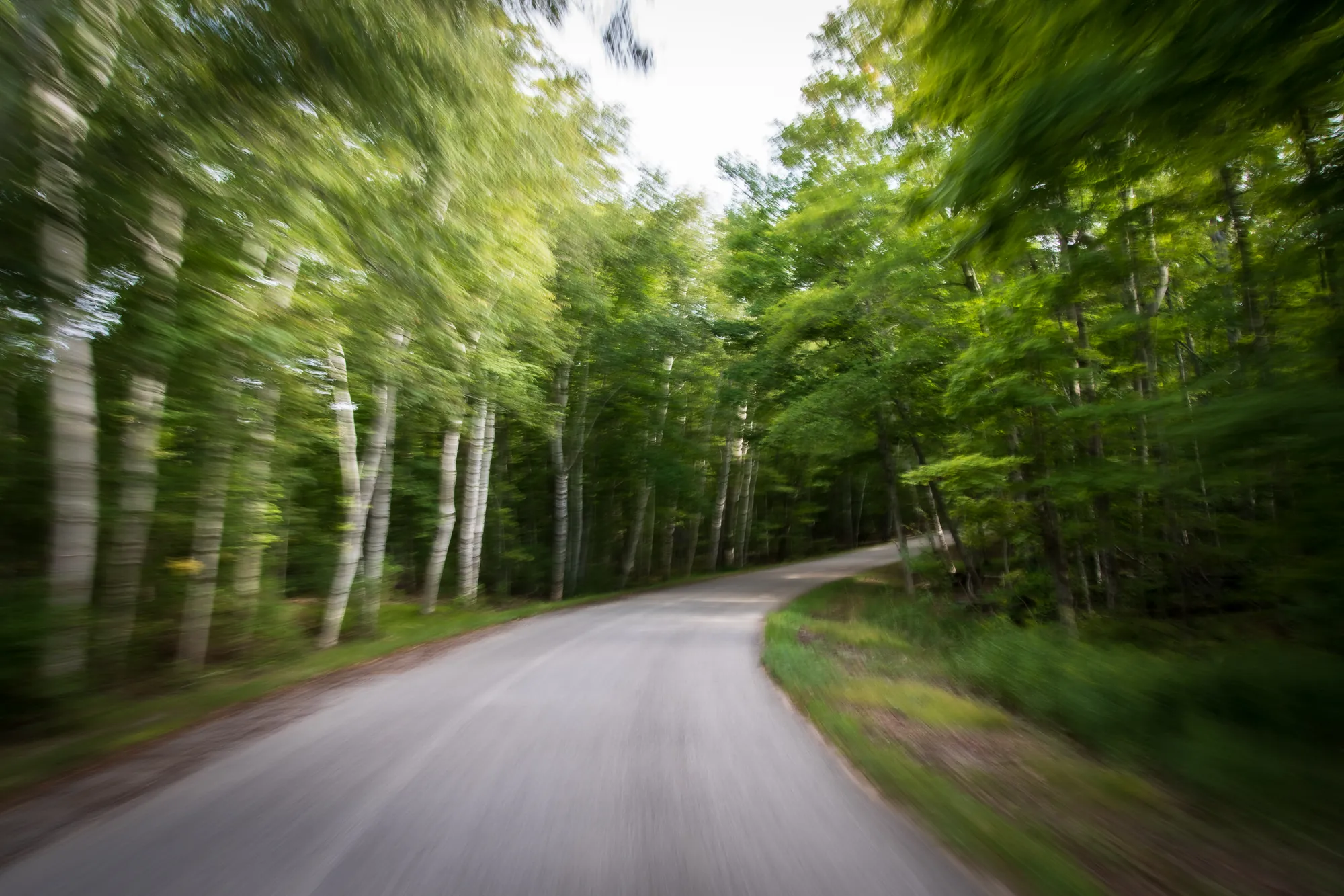 Cycling, Gudmundsen Drive, Door County. 2019.